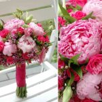 Peonies