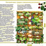 Vegetable garden planning - beds, planting, design