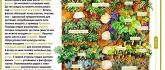 Vegetable garden planning - beds, planting, design