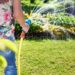 Watering the lawn in winter