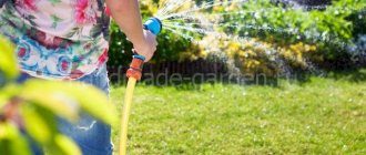 Watering the lawn in winter