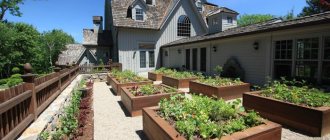 Advantages and disadvantages of raised beds