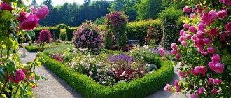 A type of stylish flower bed