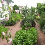 DIY garden and vegetable garden