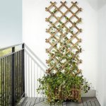 garden trellis for climbing plants