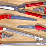 Garden tools for pruning trees: how to trim bushes