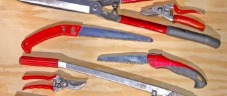 Garden tools for pruning trees: how to trim bushes