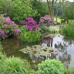 garden pond