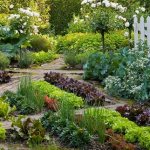 Secrets of placing a vegetable garden in a small area