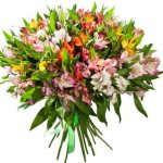 alstroemeria varieties in a bouquet