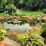 Natural style pond in the garden