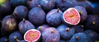 All about figs