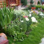 Choosing the best place for a flower garden