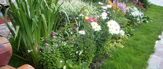 Choosing the best place for a flower garden