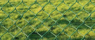 Green mesh netting on a garden fence